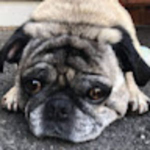 Meet your Posher, Sindoor